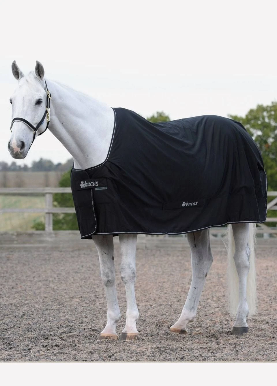 New Bucas Shamrock Power Rug - Black - Image 2