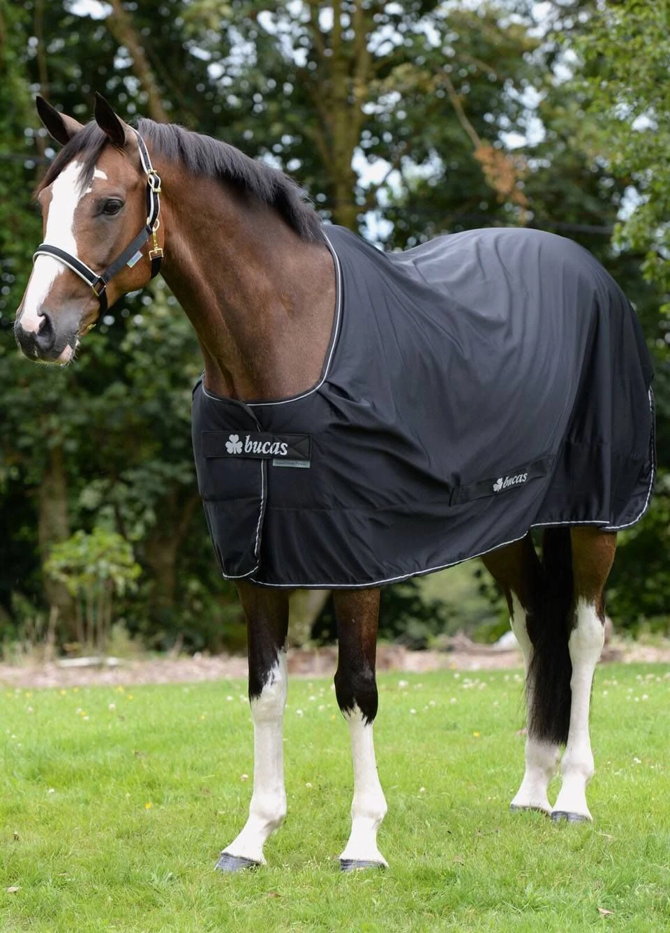 New Bucas Shamrock Power Rug - Black - Image 3