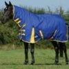 Weatherbeeta Classic Combo Medium - Blue/Lemon -Equestrian Supplies Shop wb combo medium blue 1rdy