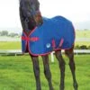 Weatherbeeta Original 1200D Foal Rug - Navy/Red/White -Equestrian Supplies Shop wb foal standard med navy 1rdy