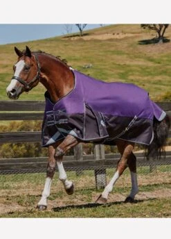 Weatherbeeta Comfitec Plus Dynamic Standard Neck Medium/Lite Turnout - Purple/Black