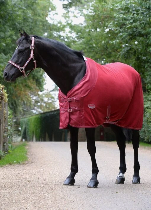 Weatherbeeta Coordinate Headcollar - Ruby - Image 2