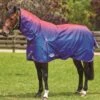 Weatherbeeta Comfitec Plus Dynamic Combo Lite Turnout - Purple Ombre