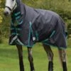 Weatherbeeta ComFITec Plus Dynamic II Combo Medium/Lite - Black/Aqua -Equestrian Supplies Shop wbdynamiciicomboblackaquardy 1