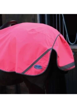 Weatherbeeta 300D Reflective Exercise Sheet - Pink