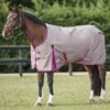 Weatherbeeta ComFITec Essential Standard Neck Lite Plus - Dark Grey/Orchid -Equestrian Supplies Shop weatherbeeta standard lite darkgrey orchd 1rdy